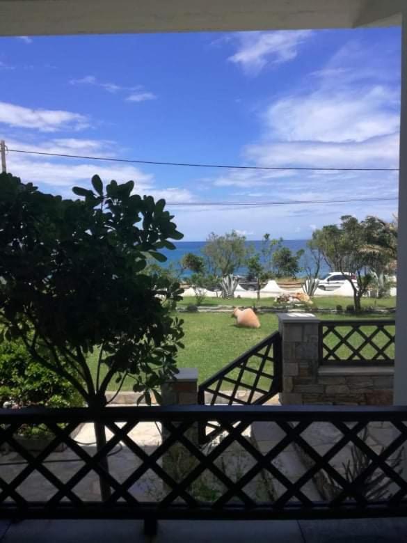 Paltsi Pilion Olga Paltsi Rooms מראה חיצוני תמונה