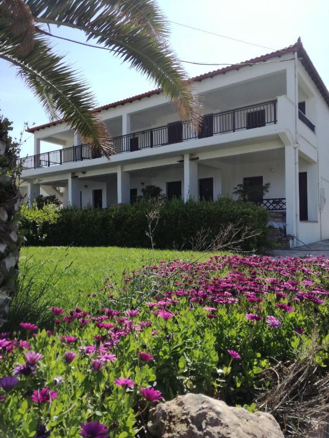 Paltsi Pilion Olga Paltsi Rooms מראה חיצוני תמונה