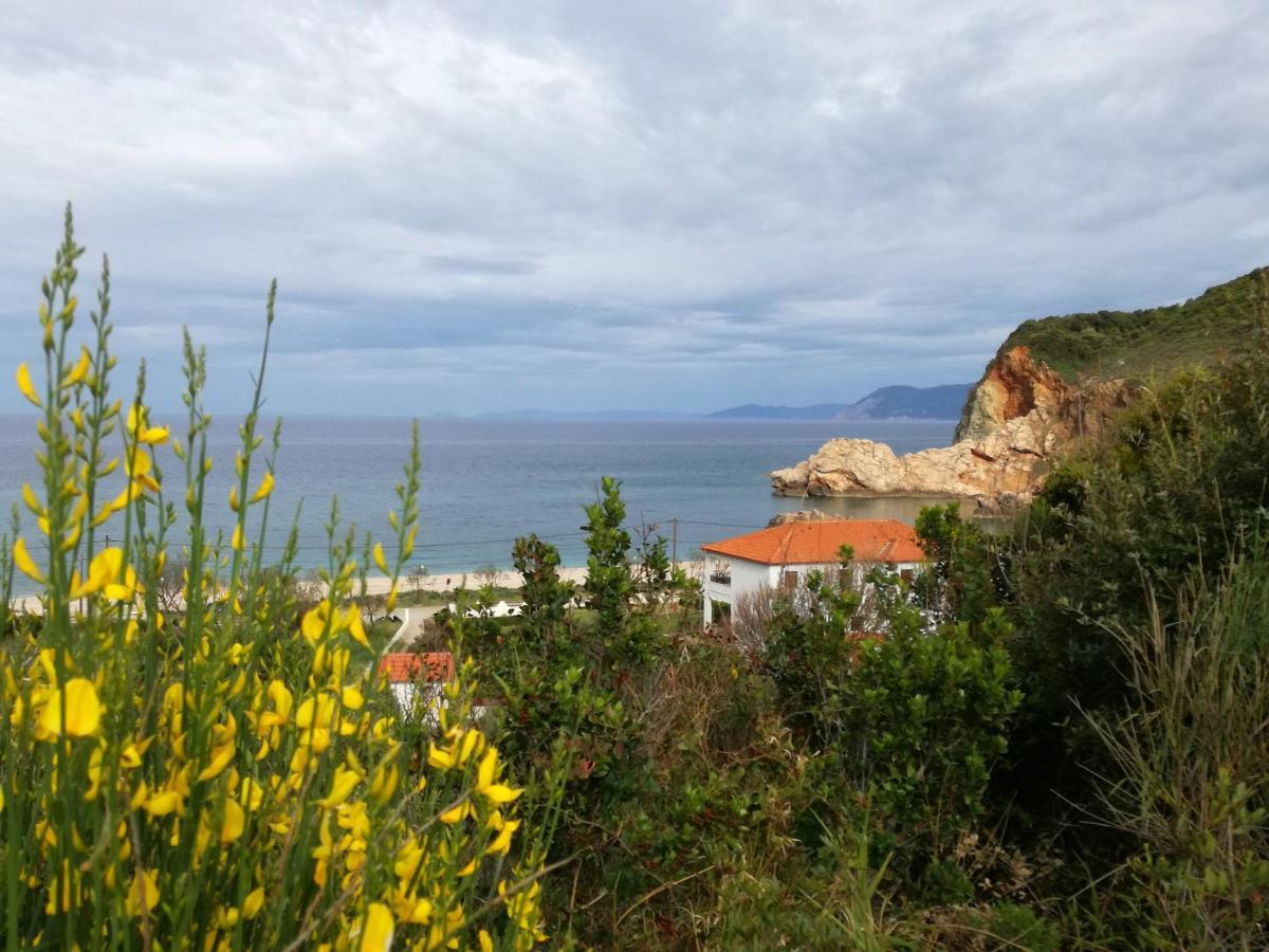 Paltsi Pilion Olga Paltsi Rooms מראה חיצוני תמונה